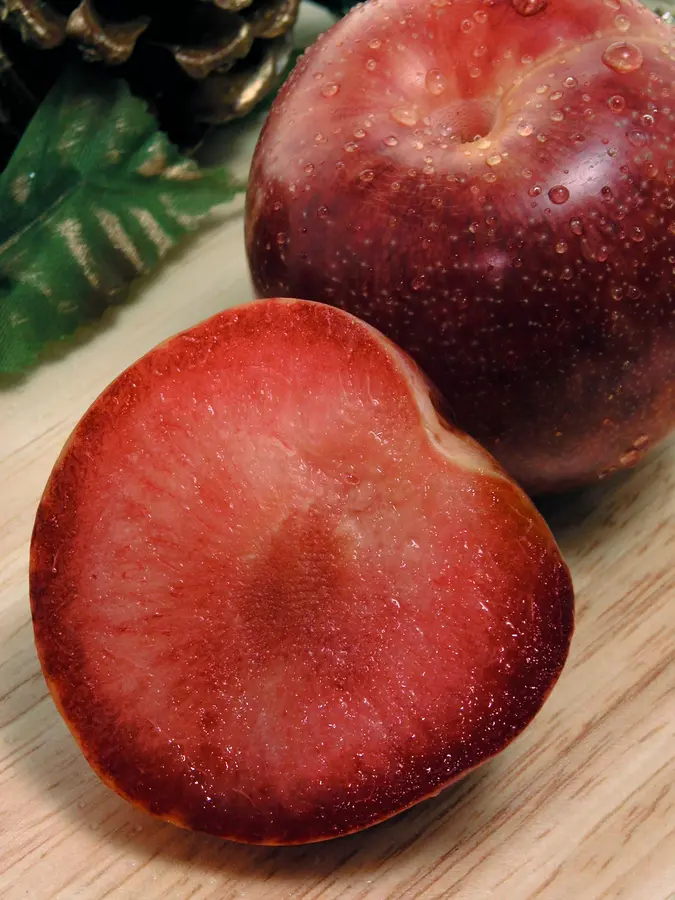 Plumcot Hybrid Plum Tree Plumcot Hybrid Plum Tree