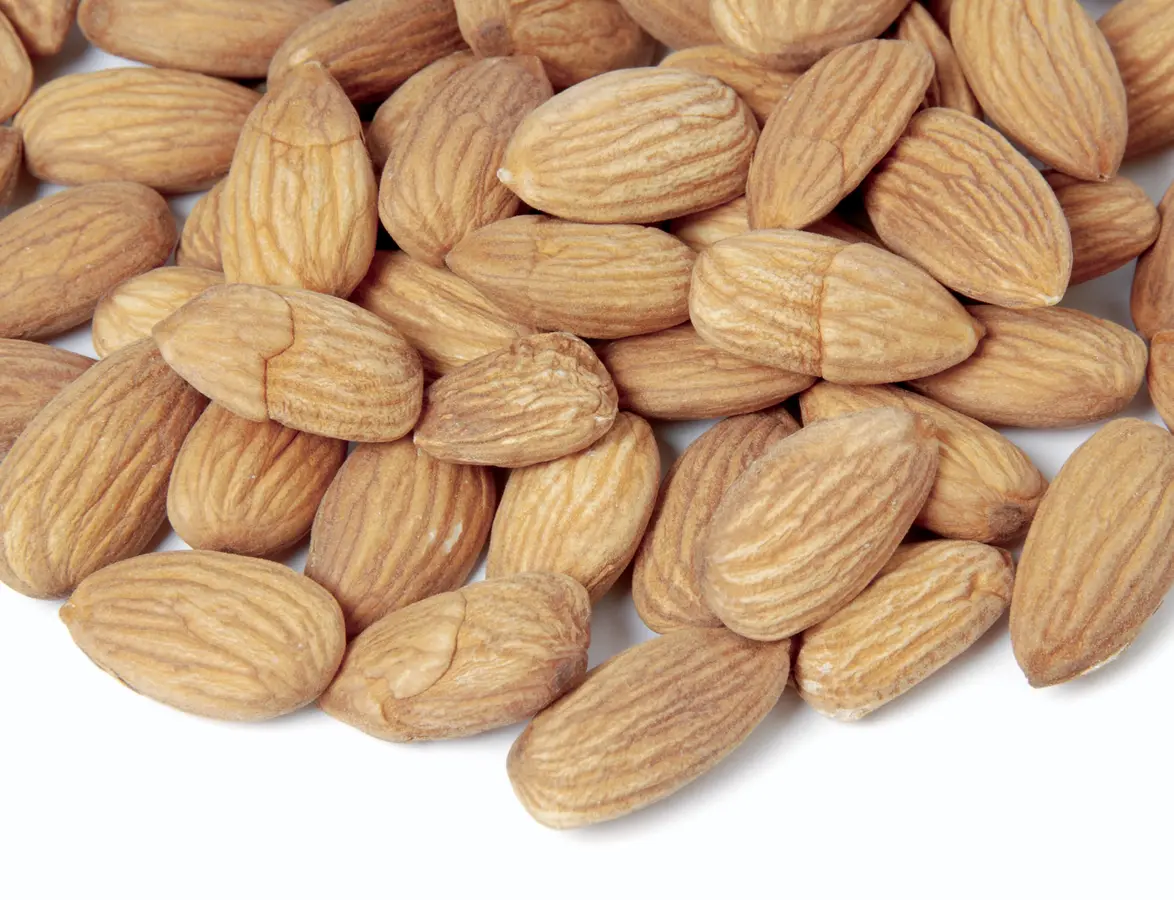 Nonpareil Almond Tree