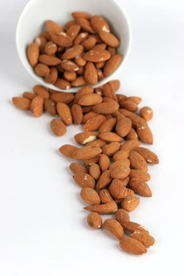 Ne Plus Almond Tree Ne Plus Almond Tree