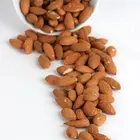 Ne Plus Almond Tree