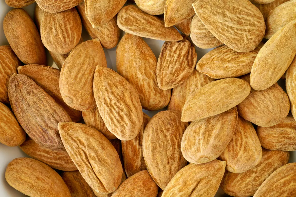 Almond Dwarf Almond Dwarf