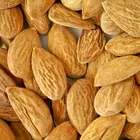 Almond Dwarf