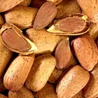 All-In-One Almond Tree