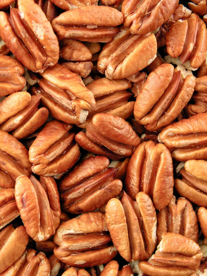 Cape Fear Pecan Tree Cape Fear Pecan Tree