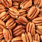 Cape Fear Pecan Tree
