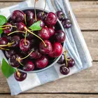 Stella Cherry Tree Stella Cherry Tree