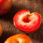 Flavor Supreme Pluot Tree Flavor Supreme Pluot Tree