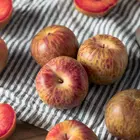 Flavor Supreme Pluot Tree