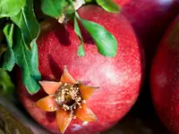 Wonderful Pomegranate Tree