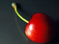 Dwarf North Star Cherry Tree
