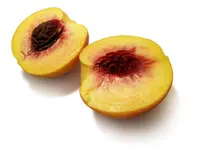 Suwanee Peach Tree