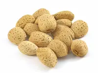 Nonpareil Almond Tree