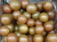 Bronze Old Fashioned Scuppernong