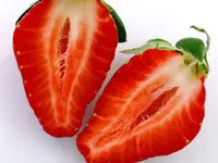 Chandler Strawberry Plant