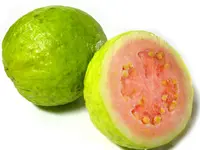 White Indian Guava Tree