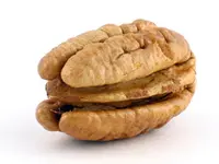 Desirable Pecan Tree