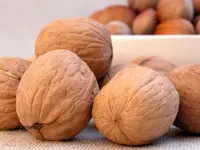 English Walnut Tree