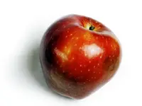 Red Delicious Apple Tree