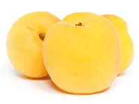 Blenheim Apricot Tree