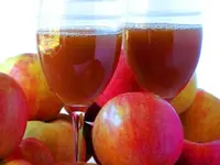 Honeycrisp Apple Tree