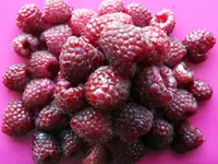 Tayberry Tayberry