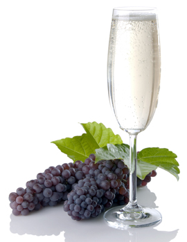 Champagne Grape Vine