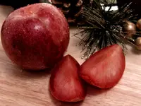 Plumcot Hybrid Apricot