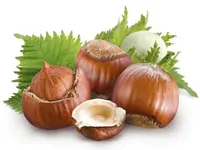 Eta Hazelnut Tree