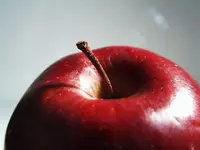Arkansas Black Apple Tree